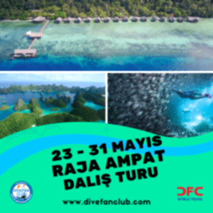 23-31 MAYIS 2026 KURBAN BAYRAMI RAJA AMPAT ENDONEZYA DALIŞ TURU