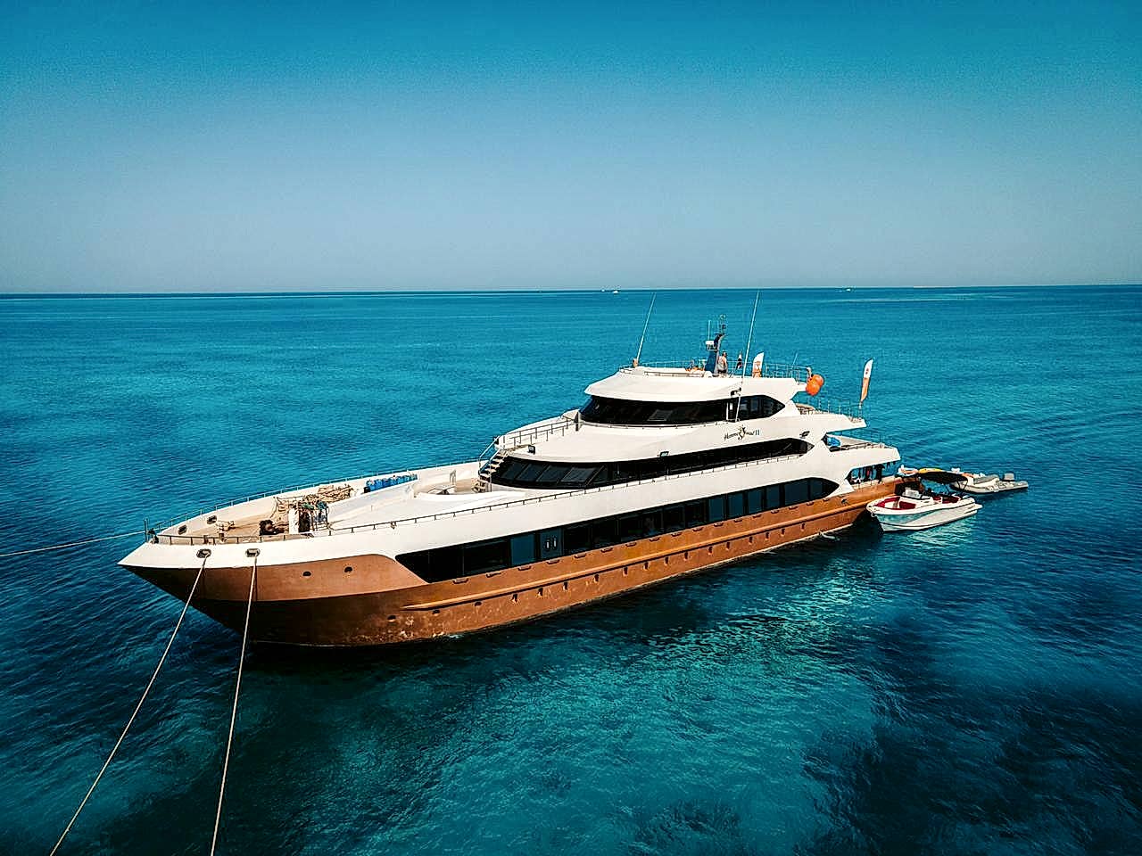 8b44c95b-e6fb-449e-8e4a-812c3833e44e