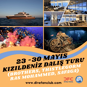 23-30 MAYIS HURGADA-BROTHERS-THİSTLEGORM-RAS MOHAMMED KIZILDENİZ DALIŞ TURU